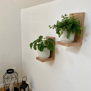 Wall Plant Brackets