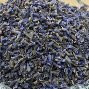 Organic English Lavender Flowers - Lavandula angustifolia