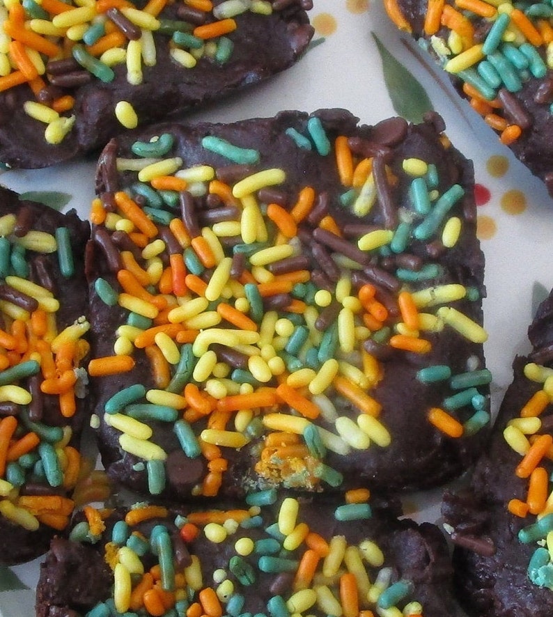 Puede incluir: Primer plano de varios dulces de chocolate cuadrados cubiertos con una colorida variedad de chispas. Las chispas son de color amarillo, naranja, verde y marr&oacute;n. Los dulces est&aacute;n dispuestos en un plato con un dise&ntilde;o floral.