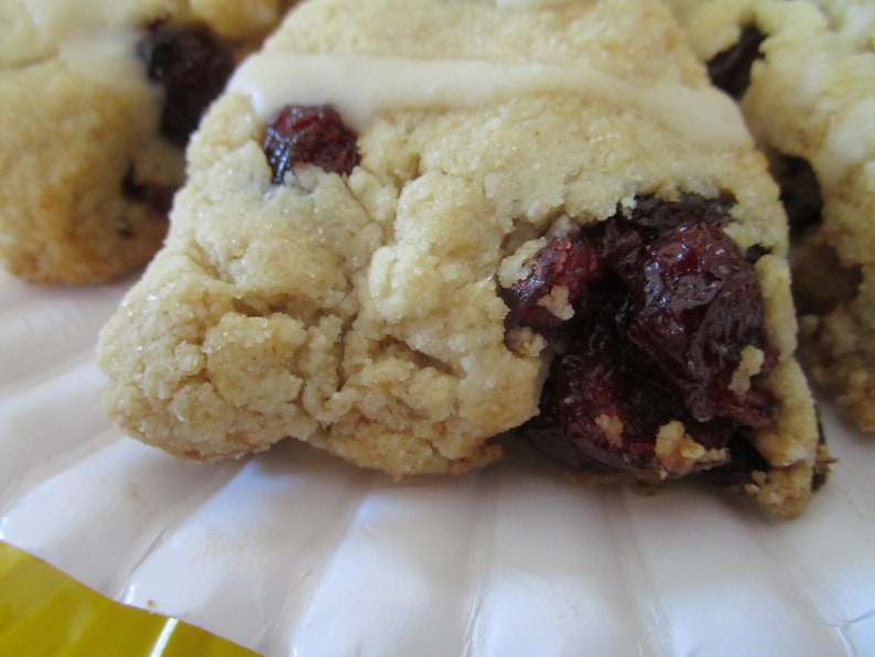 KETO Vegan Cranberry Orange Scone Gluten Free Paleo Dairy Etsy