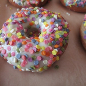 Sampler, Gluten Free, Dairy Free, Sugar Free, Egg Free, Birthday, Office, Gifts, Vegan, Nut Free, Cookies, Donuts, Keto, AIP Paleo, Fitness