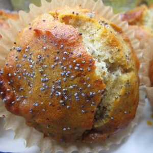 Sugar Free Muffins, Low Fat, Gluten Free, Dairy Free, Egg Free, Vegan