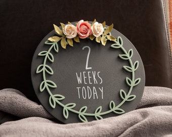 Fast dispatch - Baby milestone chalkboard. Baby stats sign. Baby monthly milestone chalk board sign