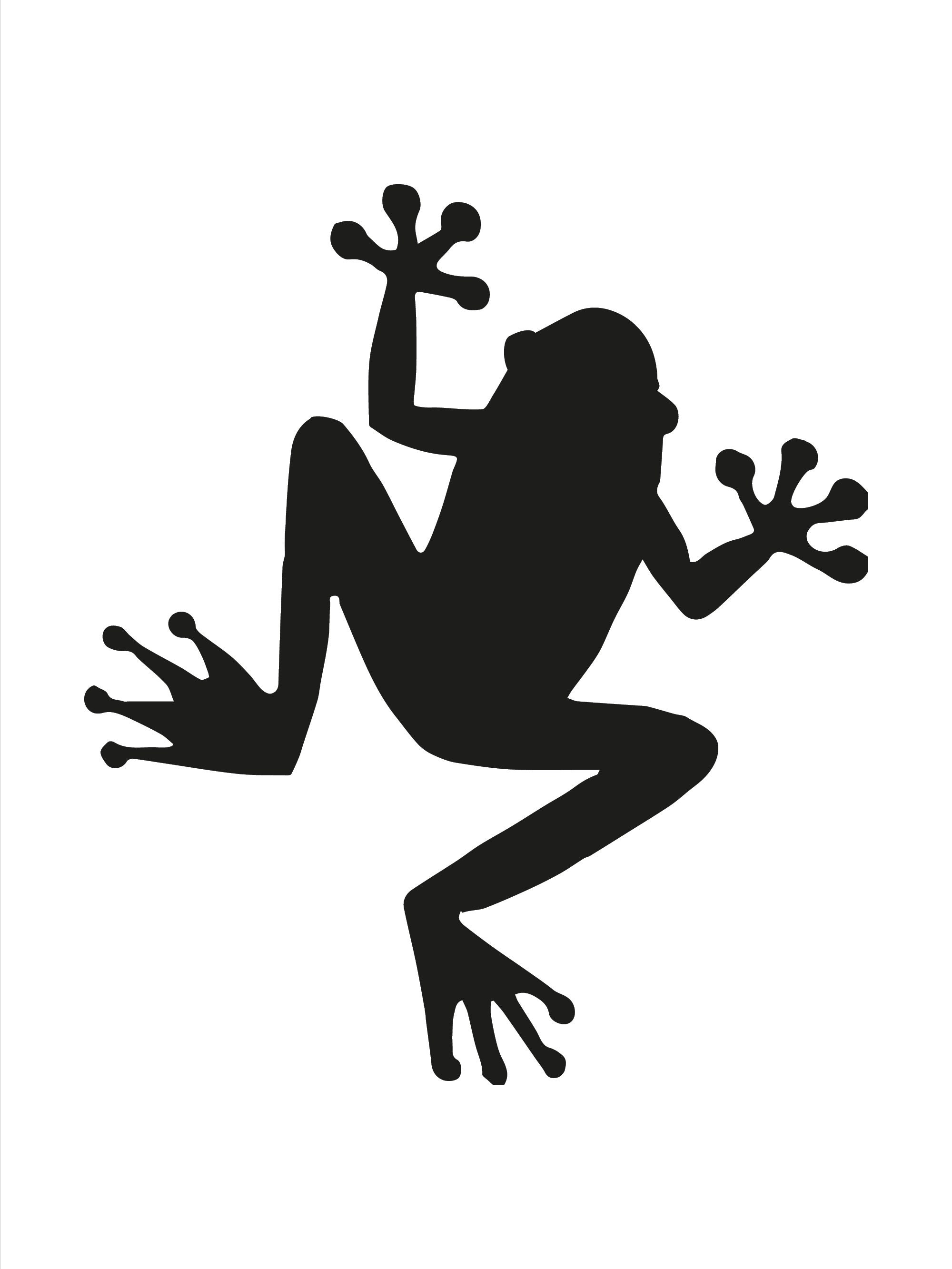 Tree Frog Stencil Reusable Mylar Sheet: 10 14 20 28 & - Etsy UK