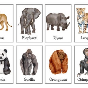 Cartes mémoire aquarelle animalières, 24 cartes pédagogiques illustrées pour enfants, impressions animalières éducatives