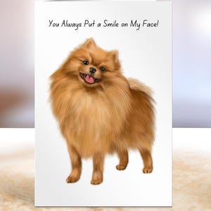 Biglietto di auguri per il compleanno del cane Pomerania, biglietto per gli amanti dei cani Pomerania, biglietto per un amico, biglietto per fargli sorridere