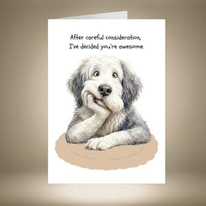 Könnte beinhalten: Eine weiße Grußkarte mit einer detaillierten Illustration eines zotteligen grau-weißen Hundes, der sein Kinn auf seine Pfote stützt. Über dem Hund steht der Text: After careful consideration, I've decided you're awesome. Der Hund liegt auf einer beigen Matte.