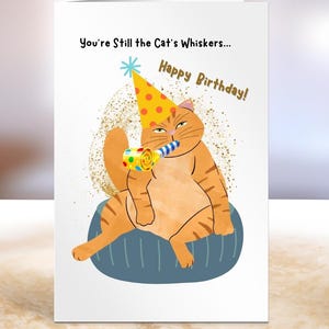 Lustige Katzen-Geburtstagskarte für Sie, Katzenillustrations-Karte für Geburtstagskind, Party-Katzengrußkarte, Freundkarte, Alterskarte
