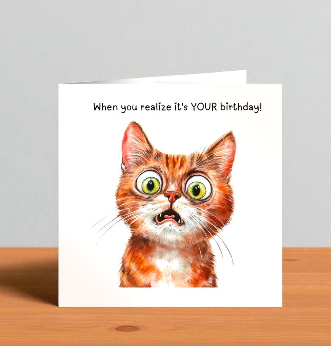 Funny Cat Birthday Card – Greeting Card for Cat Lovers, Ideal for Crazy ...