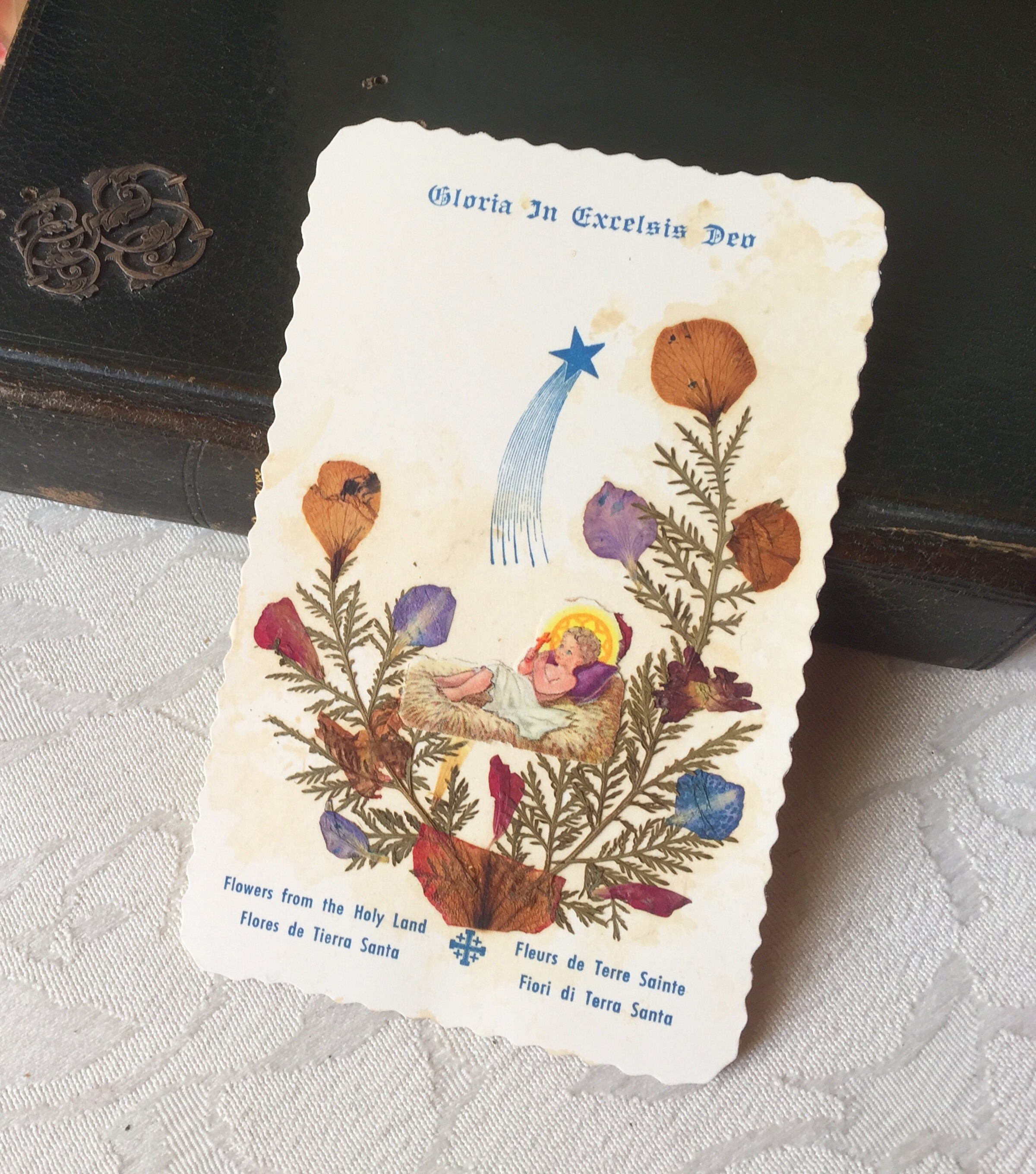 Image Pieuse Herbier Herbarium Nativité Jésus Enfant Carte Terre Sainte Souvenir Relique Reliquaire 