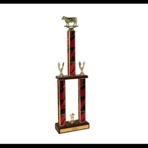 Trofeo de Pechuga BBQ 350, Ganador de Pechuga, Gran Campeón, Campeón de Reserva, Primer Lugar de Pechuga, Mejor Pechuga, Elección del Público, Ganador de Pechuga