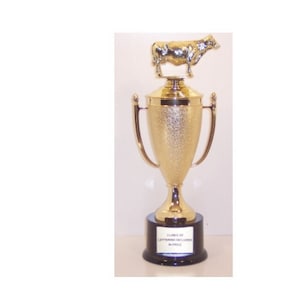 Trofeo de Pecho BBQ 725, Trofeo de Pecho, Ganador de Pecho, Primer Lugar en Pecho, Mejor Trofeo de Pecho, Trofeo de Pecho, Trofeo de Carne, Trofeo de la Copa
