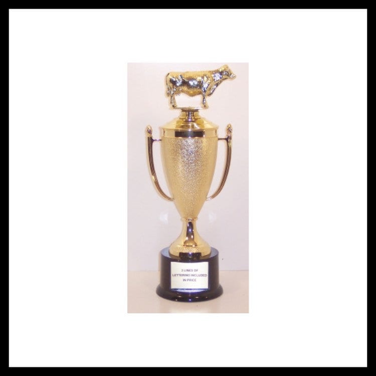 BBQ 725 Brisket Trophy,brisket Trophy,brisket Winner,1st Place Brisket ...