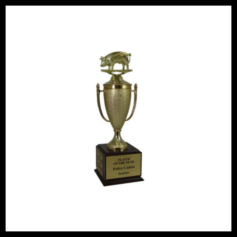 BBQ 750 Pork Champion Trophy, 1 posto Maiale, Vincitore di maiale, Campione di petto, Campione di pollo, Miglior salsa, Scelta popolare, Campione di costolette, Migliori costolette immagine 1