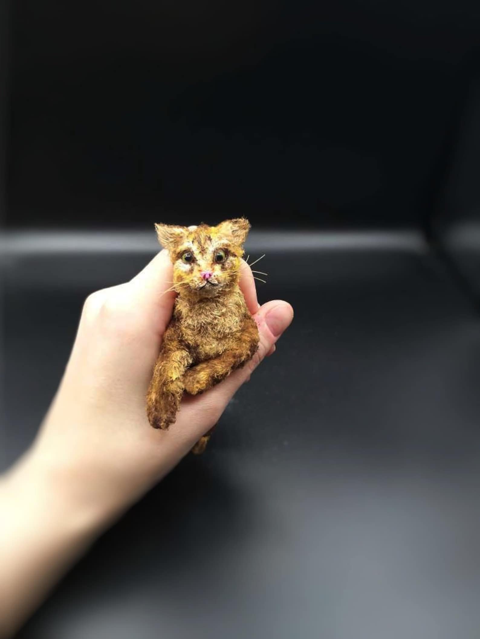 Miniature Maine Coon Cat teddy toy Etsy