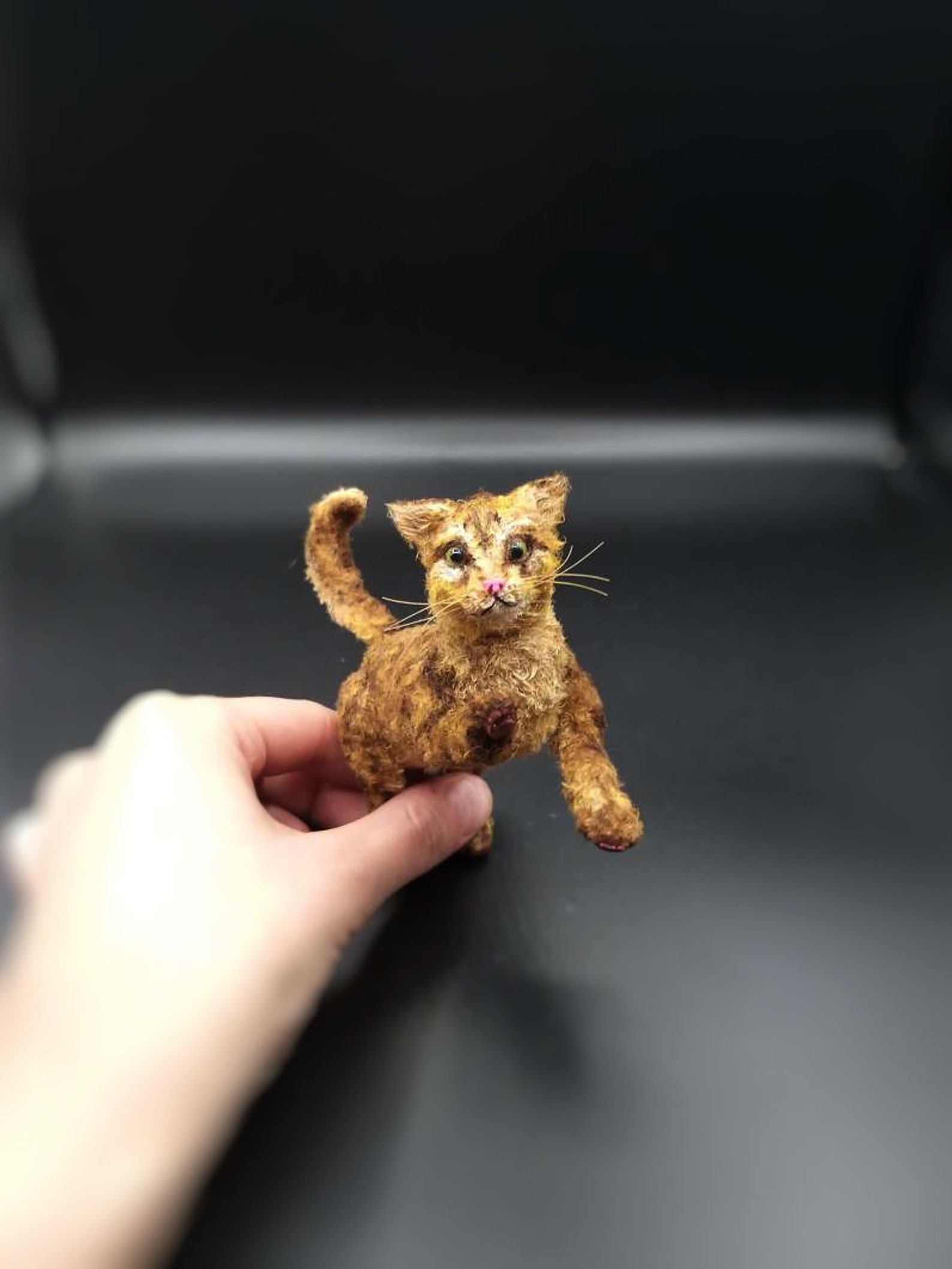 Miniature Maine Coon Cat teddy toy Etsy
