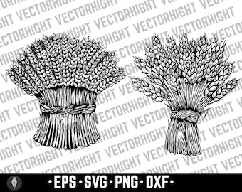 Sheaf of Wheat Vector, Spikelet of Wheat EPS, SVG, Wheat Vector Clipart For Bakery, Bread Store Digital Download File