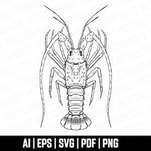 Florida Hummer Clipart Svg, Gravur Retro Hummer Form Svg. Florida-Hummer-Cricut-Schneiddateien