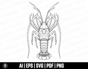 Florida Lobster Clipart Svg, Engraving Retro Lobster Shape Svg. Florida Lobster Cricut cutting files