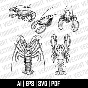 Hummer, Krebse Clipart SVG, Hummer, Omar, Langusten Form Ai, Eps, Pdf. Hummer Cricut Dateien digitaler Download