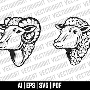 May include: Two black and white illustrations of sheep heads. The sheep on the left has horns. The sheep on the right does not have horns.