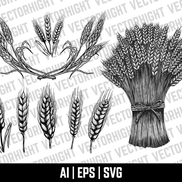 Sheaf of Wheat Vector, Spikelet of Wheat EPS, AI, SVG, Wheat Vector Clipart For Bakery, Bread Store Digital Download File