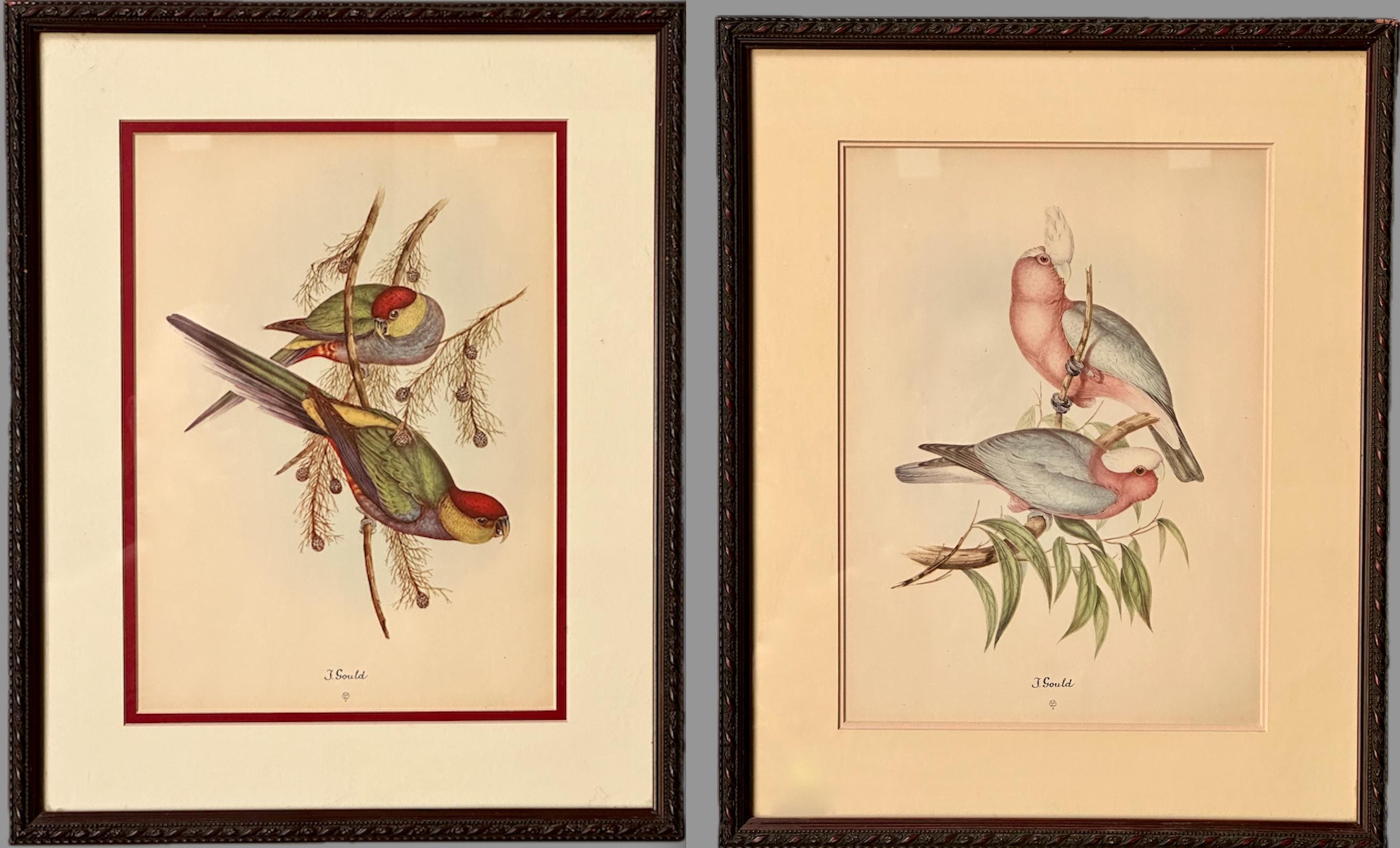 Pair of Vintage Professionally Framed John Gould Bird Prints