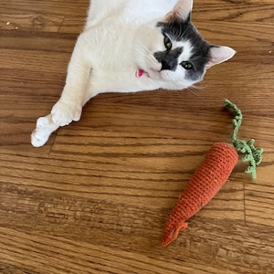 Handmade Carrot Cat Toy