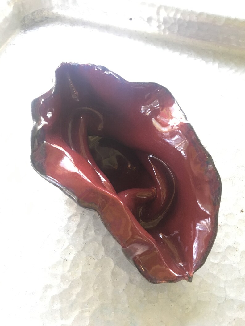 How to tell if your doctor is flirting Tasteful vulva pictures