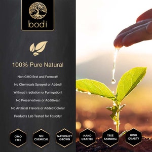 May include: A green plant seedling being watered by a hand. The image has the text "100% Pure Natural" and lists the following qualities: GMO Free, No Chemical, Naturally Grown, Hand Crafted, True Farming, High Quality.