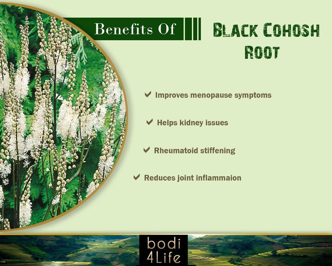 Black Cohosh Root Powder 100 Pure Natural Chemical Free Etsy