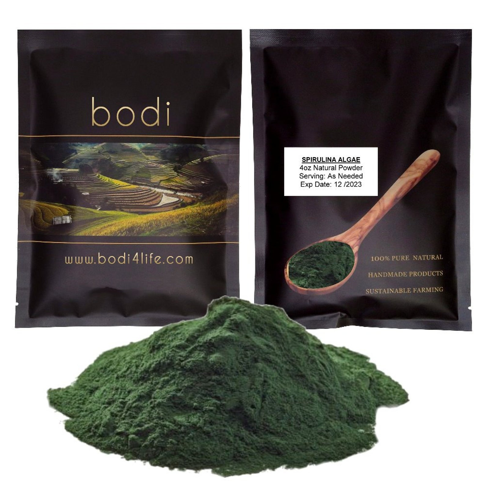 Spirulina Algae Powder 100 Pure Natural Chemical Free 4oz Etsy