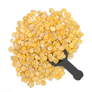 Corn Yellow Niblets Freeze Dried | 4oz to 5lb | 100% Pure Natural Hand Crafted