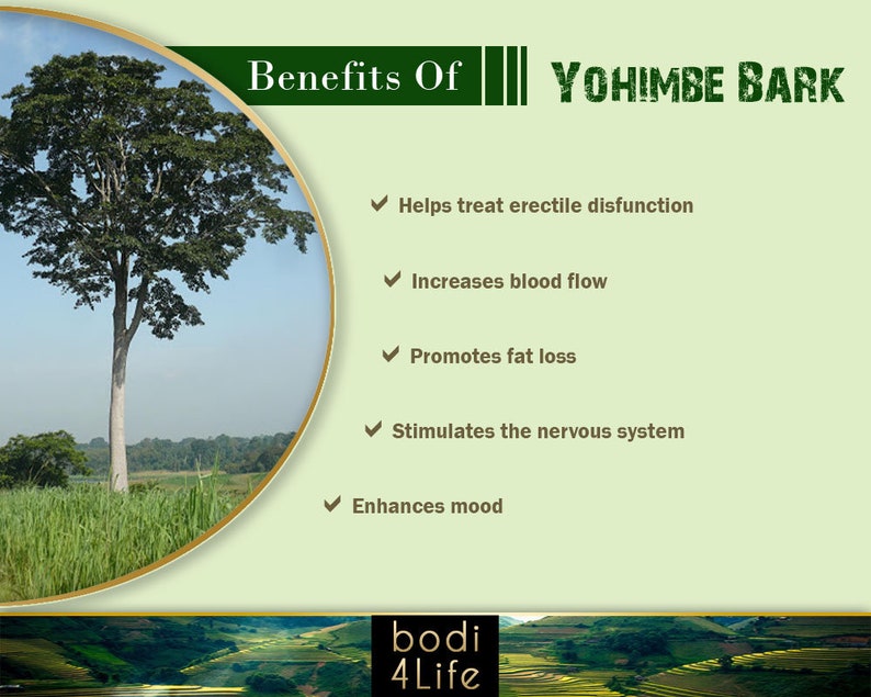 Yohimbe Bark Powder 100 Pure Natural Chemical Free 4oz Etsy