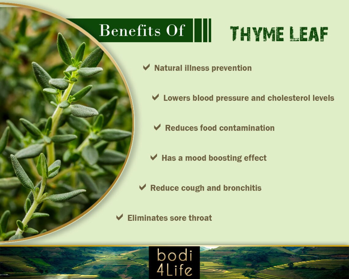 Thyme Leaf Powder 100 Pure Natural Chemical Free 4oz Etsy