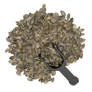 May include: A large pile of hulled pumpkin seeds with a black scoop. The seeds are a light brown color and are scattered on a white background.