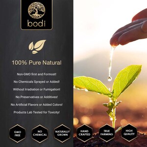 Puede incluir: Una pl&aacute;ntula verde siendo regada por una mano. La imagen tiene el texto "100% Pure Natural" y enumera las siguientes caracter&iacute;sticas: Libre de GMO, Sin qu&iacute;micos, Cultivado naturalmente, Hecho a mano, Agricultura verdadera, Alta calidad.