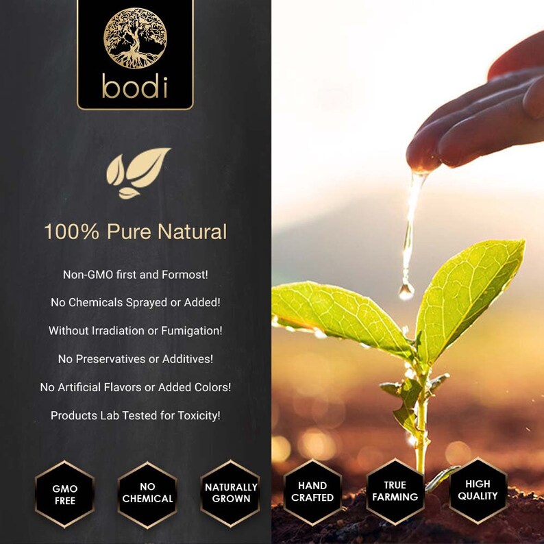 Puede incluir: Una pl&aacute;ntula verde siendo regada por una mano. La imagen tiene el texto "100% Pure Natural" y enumera las siguientes caracter&iacute;sticas: Libre de GMO, Sin qu&iacute;micos, Cultivado naturalmente, Hecho a mano, Agricultura verdadera, Alta calidad.