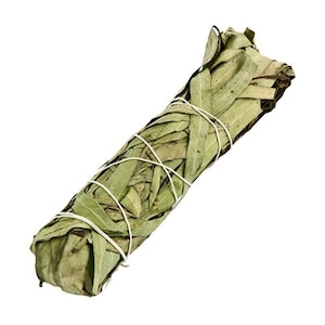 Smudge Stick Eucalyptus 4inch 100% Pure Natural Hand Crafted