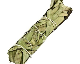 May include: A bundle of dried eucalyptus leaves tied together with twine, ready for smudging or burning as incense.