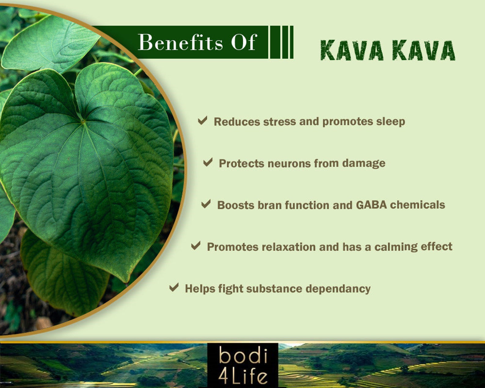 Kava Kava Root Powder 101 Extract 100 Pure Natural Etsy