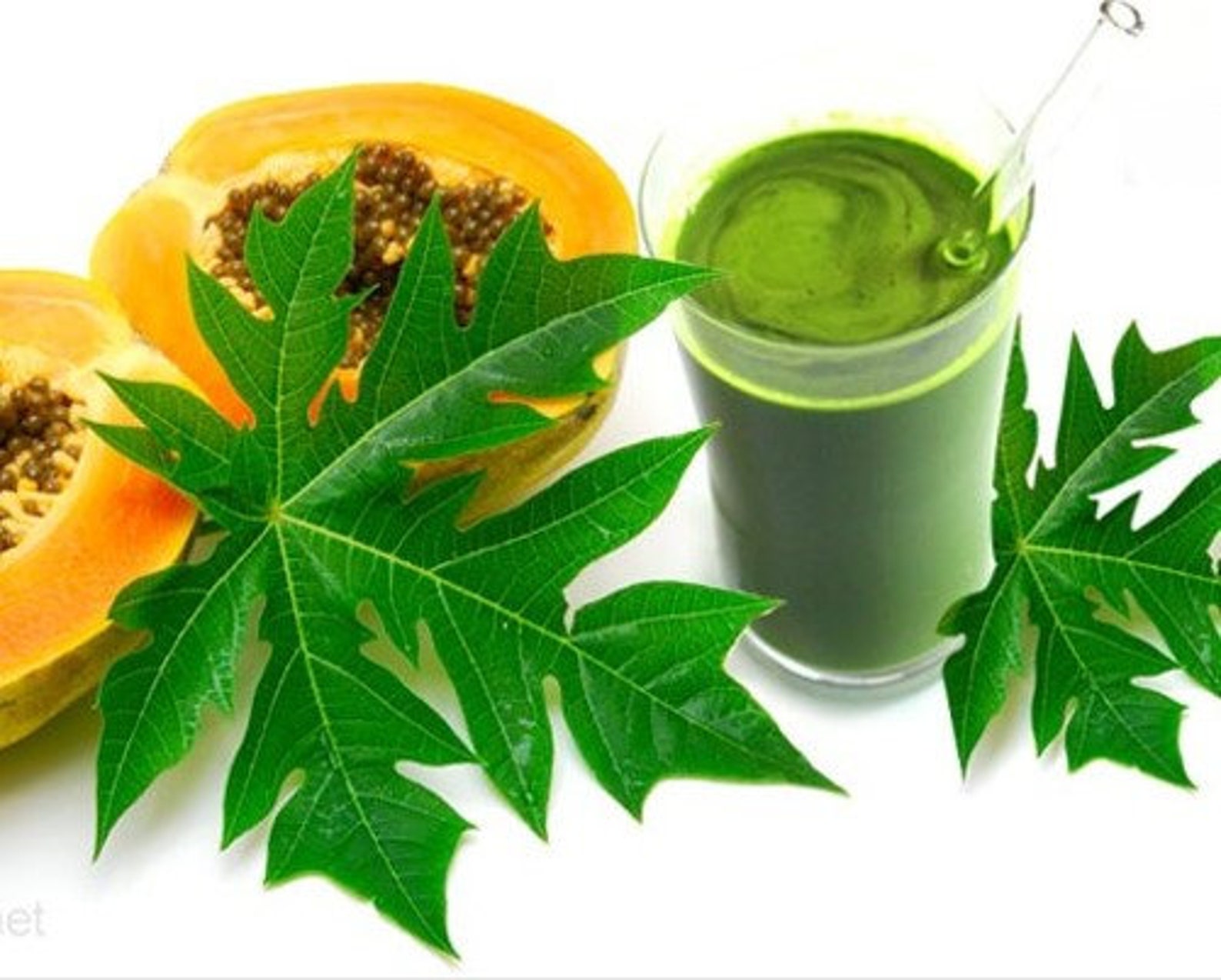 Papaya Leaf Cut Dried 100 Pure Natural Chemical Free 4oz Etsy