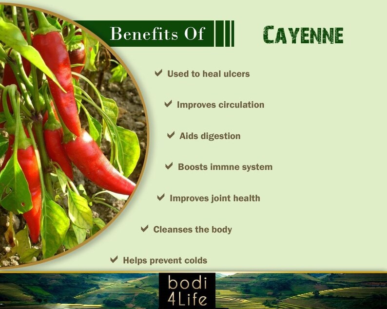 Cayenne Pepper Powder 100000 HU 100 Pure Natural Chemical Etsy