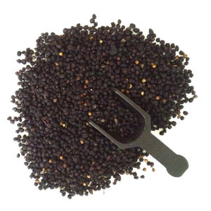 Elderberry Whole Dried | 7oz to 5lb | 100% Pure Natural Hand Crafted