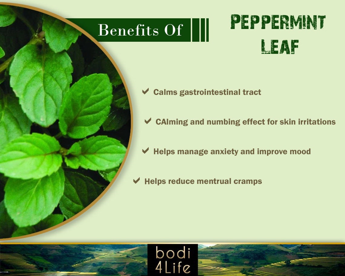 Peppermint Leaf Powder 100 Pure Natural Chemical Free 4oz Etsy