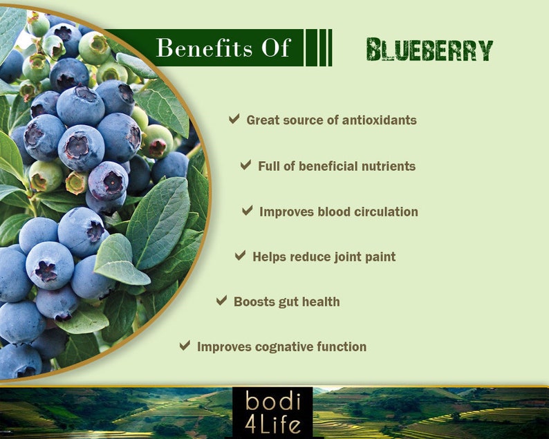 Blueberry Powder 100 Pure Natural Chemical Free 4oz Etsy