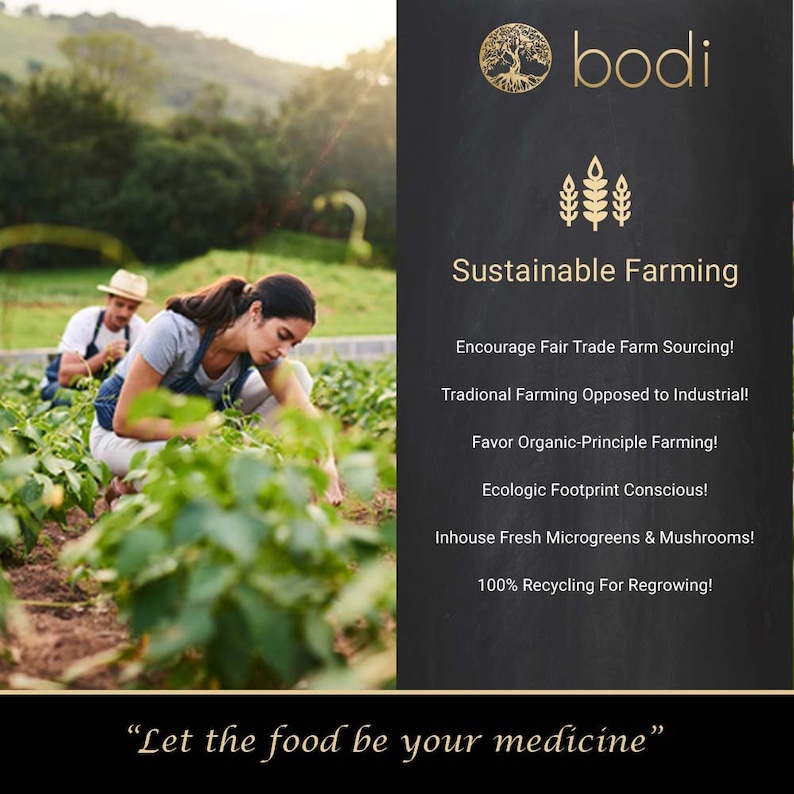 May include: Two people are working in a garden. The text on the sign reads "bodi Sustainable Farming Encourage Fair Trade Farm Sourcing! Tradional Farming Opposed to Industrial! Favor Organic-Principle Farming! Ecologic Footprint Conscious! Inhouse Fresh Microgreens & Mushrooms! 100% Recycling For Regrowing! "Let the food be your medicine"