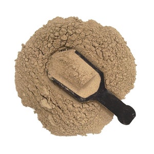 Maitake Mushroom Powder | 4oz to 5lb | 100% Pure Natural Hand Crafted