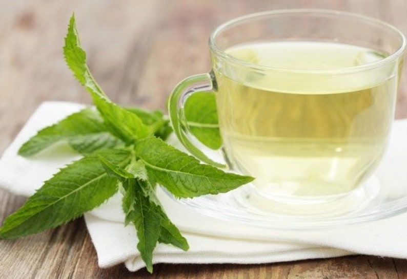 Peppermint Leaf Powder 100 Pure Natural Chemical Free 4oz Etsy