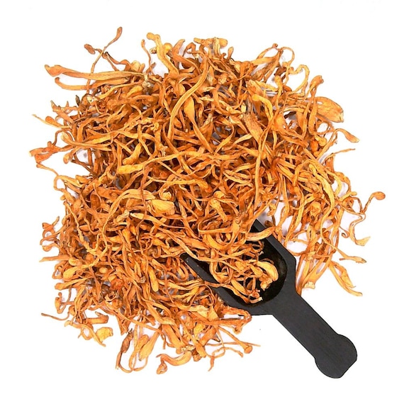 Cordyceps Mushroom Whole Dried 4oz to 5lb 100 Pure Etsy